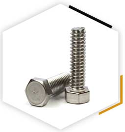 A193 B8M Class 1 Hex Head Bolt