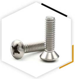 ASTM A193 B8mlcun Class 2 Screw