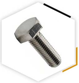 ASTM F593 Hex Bolt