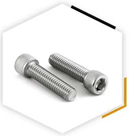 F593 Stainless Socket Head Cap Screw