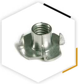  SA 194 Gr 6X T Nut